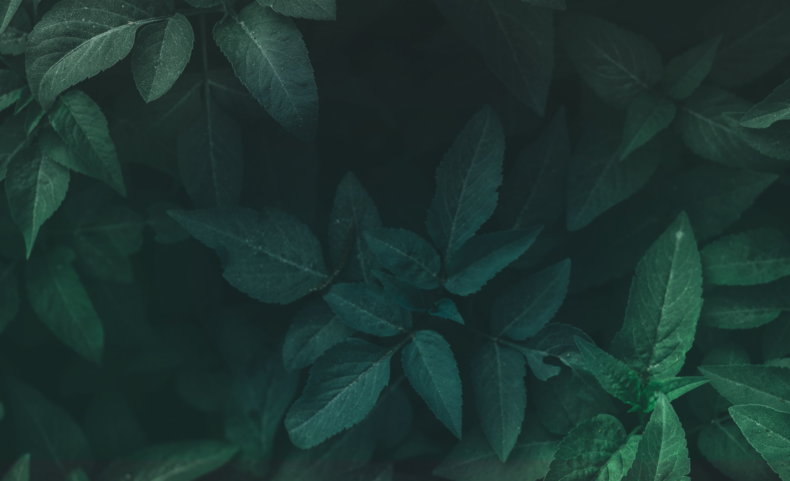 Landing background